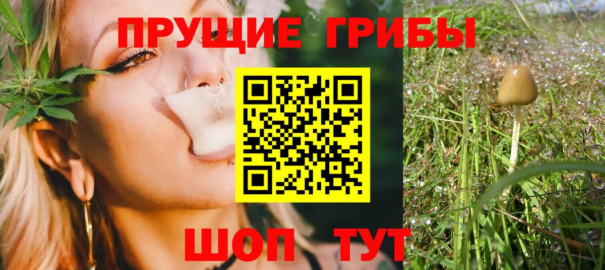 Ленинск-Кузнецкий  Галлюциногенные грибы Magic Shrooms  Вход с VPN  Галлюциногенные грибы MAGIC MUSHROOMS 